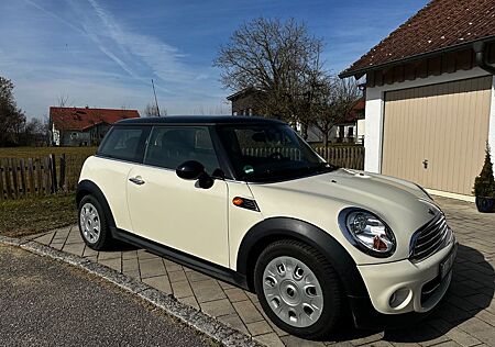 Mini Cooper Xenon/Glasdach/Sportsitze
