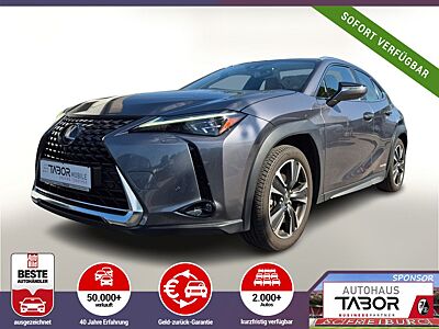Lexus UX 250h Luxury Line Matrix LED Pano Memory Kam