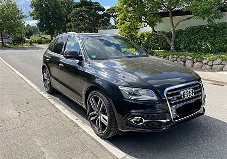 Audi SQ5 3.0 TDI competition tiptronic quattro21 Zoll