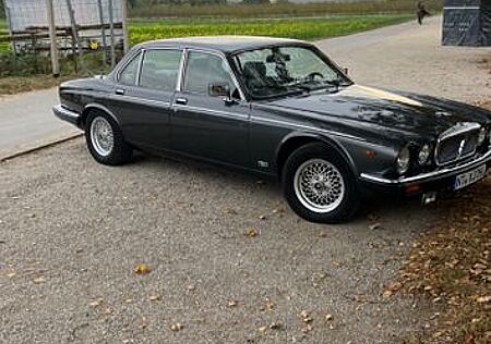 Jaguar XJ12
