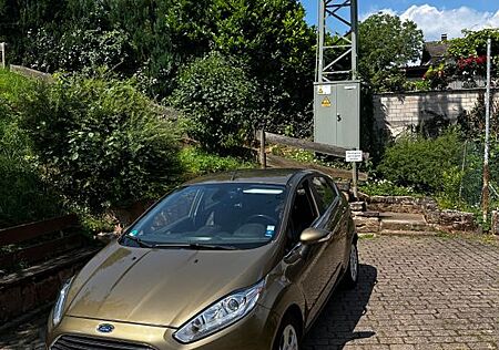 Ford Fiesta 1,0 EcoBoost 74kW S/S Titanium Titanium