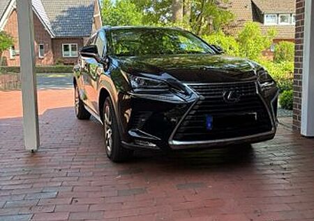 Lexus NX 300 NX 300h BJ2020| 93.000 km | TÜV NEU | Scheckheft