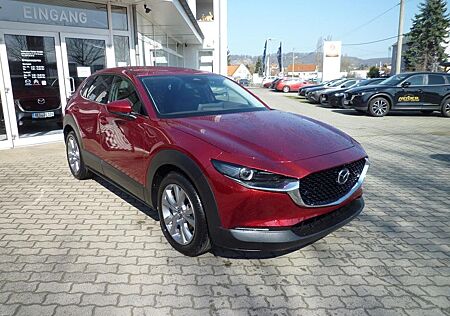 Mazda CX-30 2.5L e-SKYACTIV G 140 6AT FWD Takumi BLOP