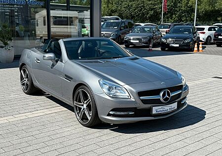 Mercedes-Benz SLK 200 SLK Roadster BlueEfficiency Edition 1