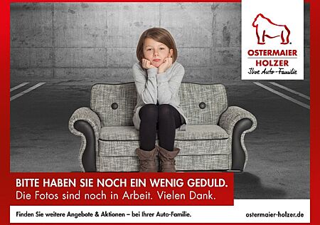 Audi RS6 Avant 4.0TFSI 600PS QUATTRO PANO.AHK.KAMERA.