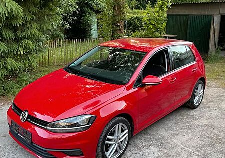 VW Golf Volkswagen 1.6 TDI DSG Trendline Trendline