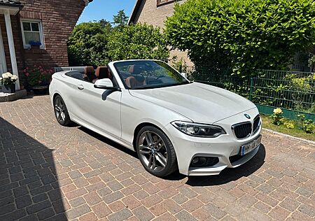 BMW 228i Cabrio M Sport M Sport Automatik Vollleder