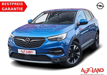 Opel Grandland X 1.2 Navi Totwinkel Keyless-Go USB PD