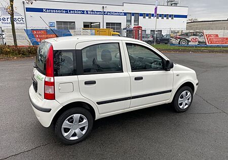 Fiat Panda NEU TÜV Erdgas von Werk