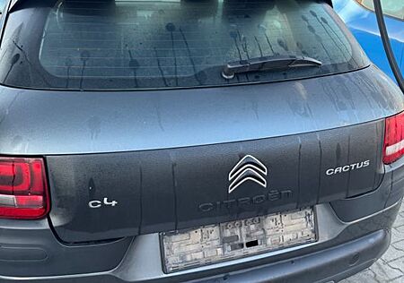Citroën C4 Cactus gebraucht kaufen Citroën C4 Cactus PureTech 110 S&S Selection EAT6 Se...