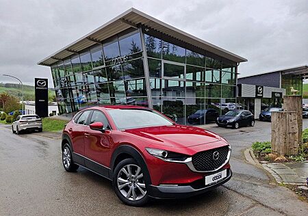 Mazda CX-30 150 PS Selection PRE-P *GARANTIE*