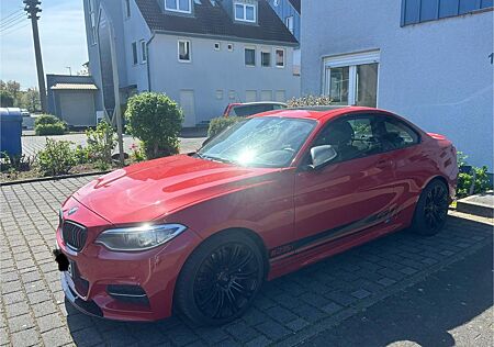 BMW M235i M235 Performance-Paket Eisenmann