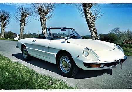 Alfa Romeo Spider
