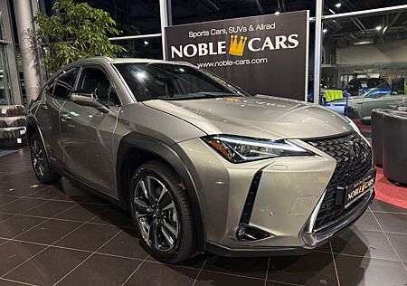 Lexus UX 250 h Style Edition RFK LED 18"
