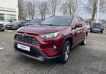 Toyota RAV 4 RAV4 4x4 Hybrid Team D, *Allrad, Technik-Pak, AH