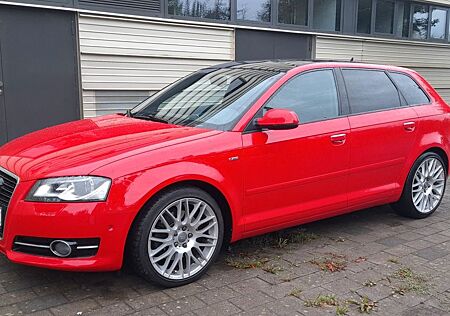 Audi A3 2.0 TDI 125kW quattro S line Sportback Sthzg.