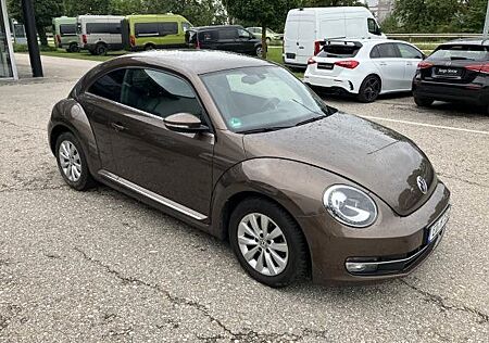 VW Beetle Volkswagen Lim.Design Xenon Panorama Sitzheizung PDC