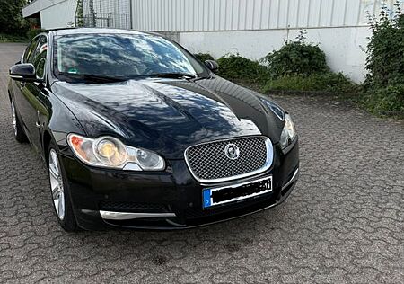 Jaguar XF 3.0 V6 155kW Diesel Luxury Luxury