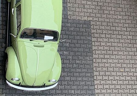 VW Käfer Volkswagen 1200L, Manilagrün