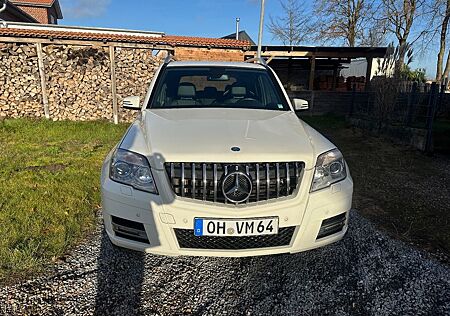 Mercedes-Benz GLK 220 CDI 4MATIC BlueEFFICIENCY