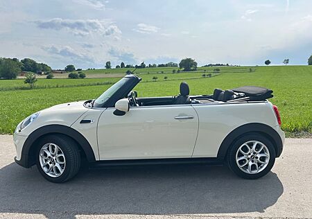 Mini Cooper Cabrio Pepper White