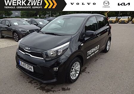 Kia Picanto Vision