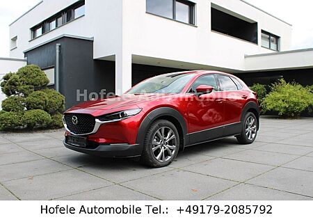 Mazda CX-3 CX-30 Exclusive-Line*ACC/360°CAM/HUD/LEDER/DAB*