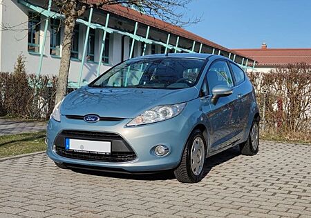 Ford Fiesta 1,25 60kW Titanium in Sonderfarbe