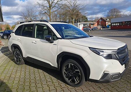 Subaru Forester 2.0ie e-BOXER Exclusive Lineart