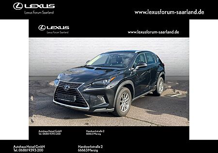 Lexus NX 300 h Amazing Edition