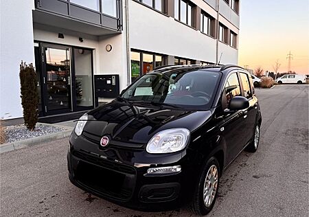 Fiat Panda -Klima-1.2 Euro 6