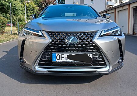 Lexus UX gebraucht kaufen Lexus UX 200 -