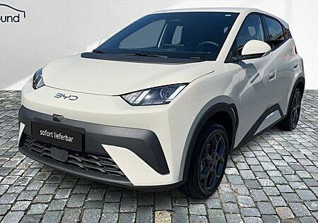 BYD DOLPHIN Surf Boost Alarm Alu DAB Keyless Klima