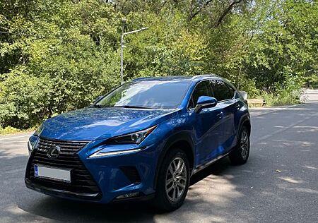 Lexus NX 300 NX300h AWD Luxury 2019