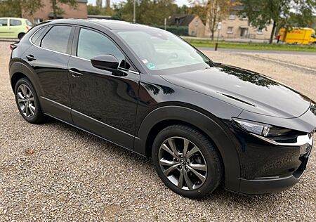 Mazda CX-30 2.0 M-Hybrid, AHK, Garantie, Edition 100