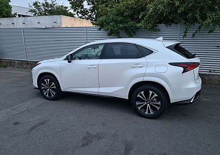 Lexus NX 300h Style Edition .Top Zustand