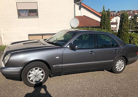 Mercedes-Benz E 230 ELEGANCE (TÜV 2026 & kein Rost)