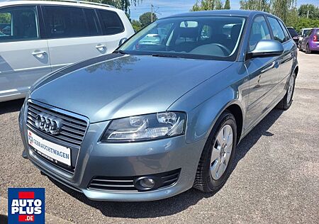 Audi A3 1.6 TDI Sportback DPF PDC+SITZHZG+ALLWETTER