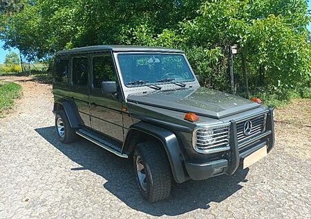 Mercedes-Benz G 450 G 463D