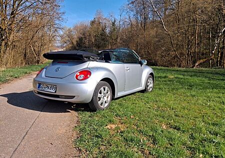 VW Beetle Volkswagen