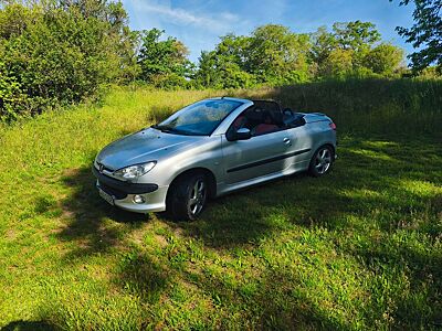 Peugeot 206 CC Platinum 110 Platinium