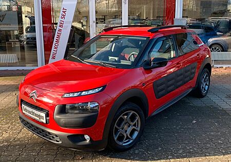 Citroën C4 Cactus Selection NAVI SHZ PDC R.KAM