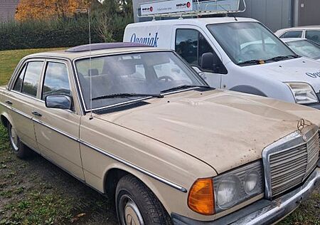 Mercedes-Benz 300 D W123 seltene grüne Innenausstattung