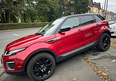 Land Rover Range Rover Evoque SE Klima Leder Navi Xenon Alu