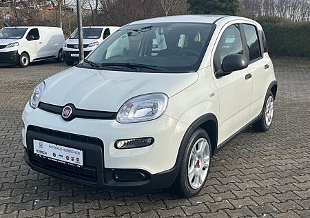 Fiat Panda Base / Radio, Bluetooth, Klima, elektr. FH
