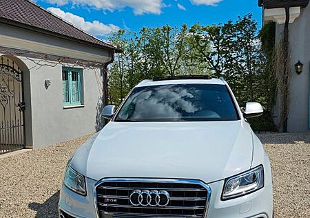 Audi SQ5 3.0 TDI competition tiptronic quattro -
