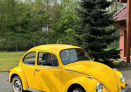 VW Käfer Volkswagen