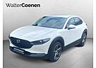 Mazda CX-30 SKYACTIV-X 2.0 M-Hybrid AWD Aut. SELECTION