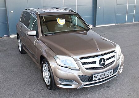 Mercedes-Benz GLK 250 CDI 4Matic Sportpaket,BiXe,Navi,RFK,AHK,