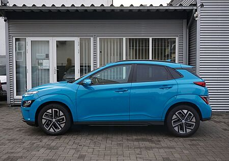 Hyundai Kona Trend Navi Assist Paket KRELL LKA ACC Kam